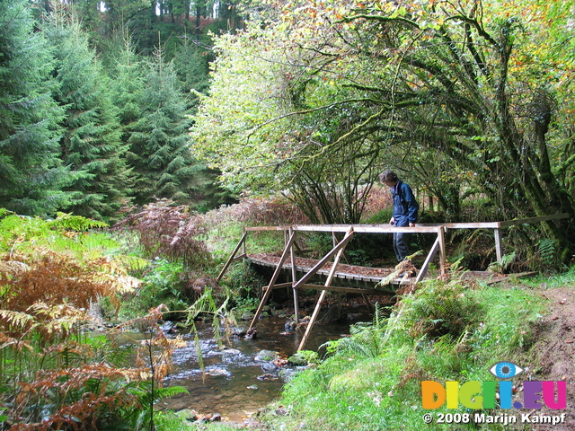 24033 Wouko testing the bridge